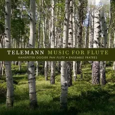 Teleman Flute Concertos - Outlet