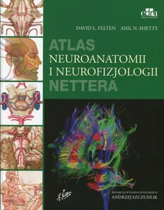 Atlas neuroanatomii i neurofizjologii Nettera - Felten David L., Shetty Anil N.