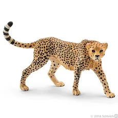Samica geparda