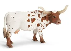 Teksańska długoroga krowa