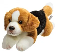 Leżący pies Beagle 30 cm