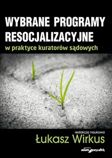 Wybrane programy resocjalizacyjne w praktyce kuratorów sądowych - Outlet - Łukasz Wirkus
