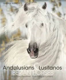 Andalusians Lusitanos - Gabriele Boiselle