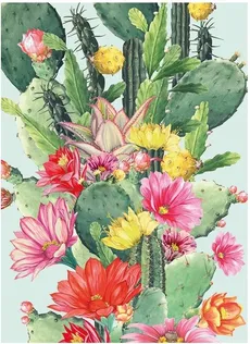 Karnet B6 z kopertą Cactus Flower