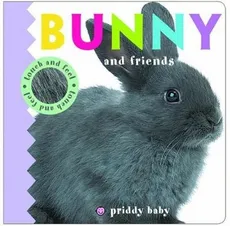 Bunny & Friends Touch and Feel - Priddy  Roger