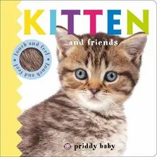 Kitten and Friends - Priddy  Roger