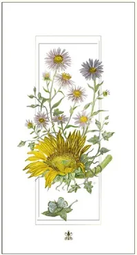Karnet kwiaty słonecznik  12x23 + koperta