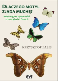 Dlaczego motyl zjada muchę - Outlet - Krzysztof Pabis
