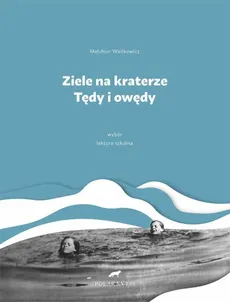 Ziele na kraterze Tędy i owędy Wybór - Outlet - Melchior Wańkowicz