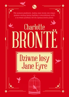 Dziwne losy Jane Eyre - Outlet - Charlotte Brontë