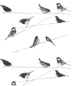 Karnet 17x14cm z kopertą Garden Birds wallpaper