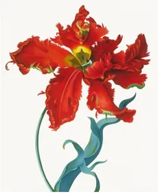 Karnet 17x14cm z kopertą Parrot Tulip
