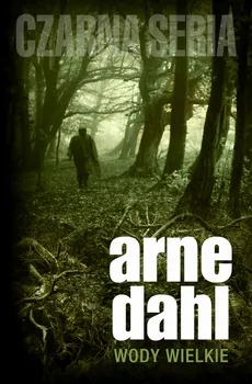 Wody wielkie - Arne Dahl