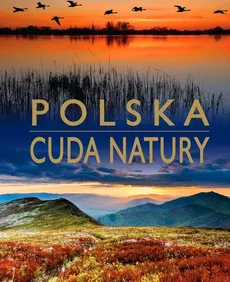 Cuda natury. Polska - Anna Willman