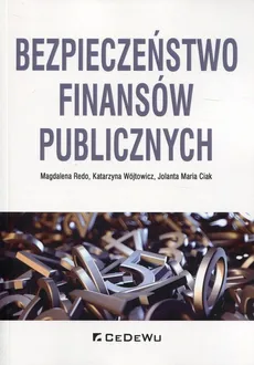 Bezpieczeństwo finansów publicznych - Ciak Jolanta Maria, Magdalena Redo, Katarzyna Wójtowicz