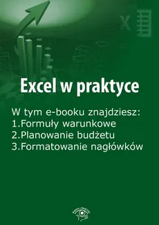 Excel w praktyce, wydanie grudzień 2015 r. - Rafał Janus