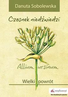 Czosnek niedźwiedzi – Allium ursinum - Sobolewska Danuta