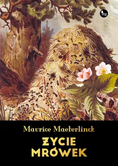 Życie mrówek - Outlet - Maurice Maeterlinck