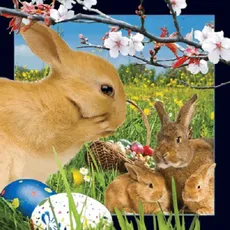 Pocztówka 3D - Wielkanocne króliczki