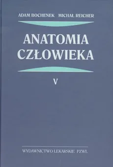 Anatomia człowieka Tom 5 - Outlet - Adam Bochenek, Michał Reicher