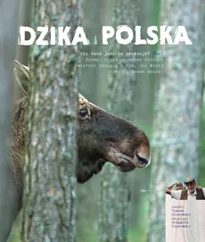 Dzika Polska - Tomasz Kłosowski