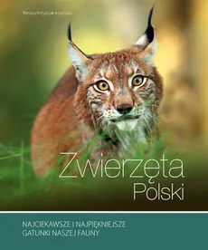 Zwierzęta Polski - Outlet - Renata Kosińska