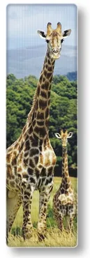 Zakładka 3D National Geographic Żyrafa