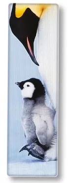 Zakładka 3D National Geographic Pingwin
