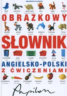 Obrazkowy słownik angielsko-polski z ćwiczeniami - Małgorzata Pilarczyk