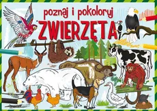 Poznaj i pokoloruj zwierzęta - Outlet - Krzysztof Tonder