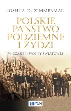 Polskie Państwo Podziemne i Żydzi w czasie II wojny światowej - Outlet - Zimmerman Joshua D.