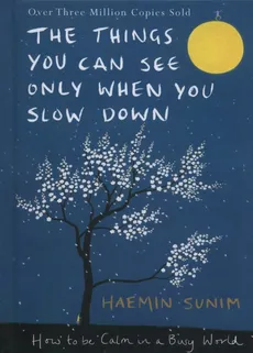 The Things You Can See Only When You Slow Down - Haemin Sunim