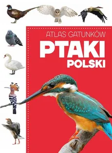 Atlas gatunków Ptaki Polski - Outlet