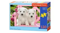 Puzzle White Terrier Puppies 120