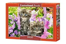 Puzzle 1000 Kittens In Summer Garden