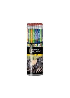 Ołówki grafitowe National Geographic display 60 sztuk mix