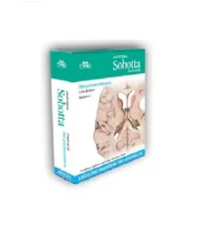 Anatomia Sobotta Flashcards Neuroanatomia - Outlet - L. Bräuer