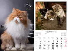 Kalendarz 2019 wieloplanszowy Koty - Marek Jurkowlaniec
