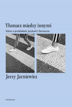 Tłumacz między innymi - Outlet - Jerzy Jarniewicz