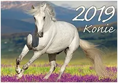 Kalendarz Konie 2019 KA2 - Outlet