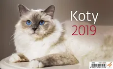 Kalendarz biurkowy Koty 2019