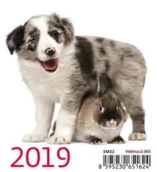 Kalendarz biurkowy Mini Przyjaciele 2019 10 sztuk