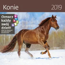 Kalendarz wieloplanszowy Konie 30x30 2019 - Outlet