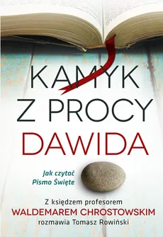 Kamyk z procy Dawida - Outlet - Waldemar Chrostowski, Tomasz Rowiński