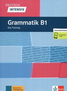 Deutsch Intensiv Grammatik B1 Das Training - Magdalena Ptak, Marion Schomer