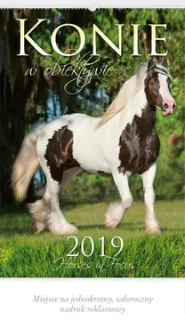 Kalendarz 2019 RW 21 Konie w obiektywie