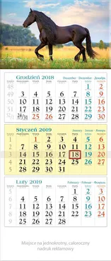 Kalendarz 2019 KT 19 Rumak
