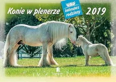Kalendarz 2019 WL 10 Konie w plenerze