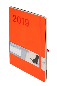 Kalendarz 2019 Minimalizm B5 pomarańczowy TNS Notes