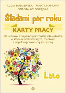 Śladami pór roku Lato - Outlet - Dorota Kołodziejska, Renata Naprawa, Alicja Tanajewska